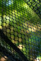 Zebco Podběrák Latex Fast Net Allround (1)