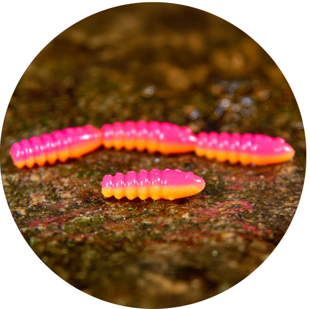 Redbass gumová nástraha trout grub tutti frutti uv color - 3x25 mm