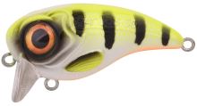 Spro Wobler Fat Iris 50 Hot Perch 5 cm 10 g