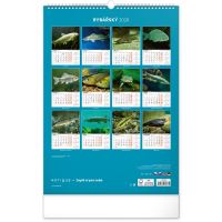 PGCZ Nástěnný Rybářský Kalendář 2026 CZ 33x46 cm (1)