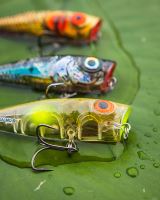 Salmo Wobler Rattlin Pop Clear Holo Smelt 7 cm (6)