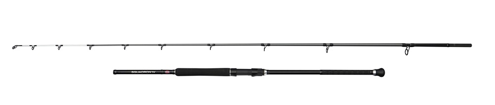 Penn prut squadron iv uptide spin 3 m 6-10 oz