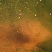 Chytil Krmíková Směs 1 kg (1)