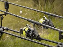 Delphin Prut Castix 3,6 m 3,5 lb (8)