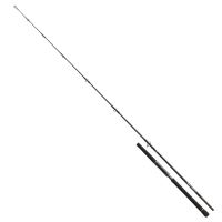 Daiwa Prut Saltiga Light Game 2,4 m 40-110 g Daiwa Prut Saltiga Light Game 2,4 m 40-110 g