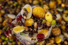 My-Baits Partikl Party Mix "High Impact" 2 l (2)