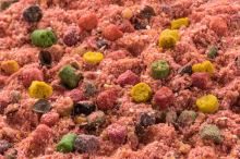 Mivardi Krmítková Směs R1 Carp 950 g (2)