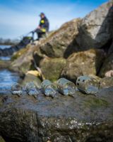 Matrix Krmítko Plastic Open Ended Feeder L (11)