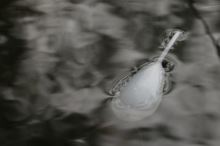 Korda Plovák Surface Float (3)