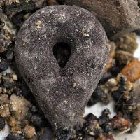 LK Baits Olovo Carpleads Grip Brown-80 g