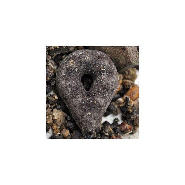 LK Baits Olovo Carpleads Grip Brown