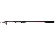 Delphin Prut Taiga NXT 3 m 2,75 lb (1)