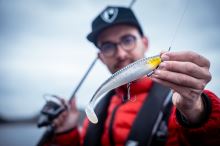 Fox Rage Gumová Nástraha Zander Pro Shad Loaded UV Silver Halo (6)