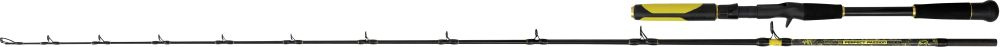 Black cat prut perfect passion allstar cast 2,2 m 30-130 g