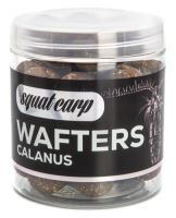 Squat Carp Vyvážené Boilies Wafters Calanus (2)