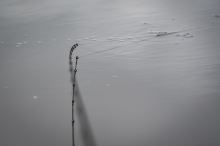 Matrix Prut Ethos XR S Feeder Rods 3,5 m 35 g (16)