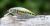 3Stan Wobler Fatty 50 Lite H-MN 5 cm 7 g