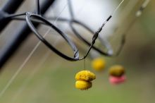 Mainline Plovoucí Boilie Pop Up Quads Essential Cell 10 mm (4)