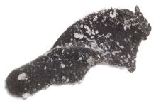 Saenger Iron Trout Nástraha Turno 6 ks 2,5 cm (8)