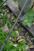 Nash Olovo Super Flat Pear In-Line Lead (2)