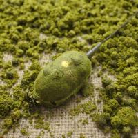 Life Orange Formička Mould Press (2)