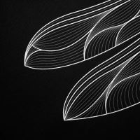 Kumu Tričko Emperor (2)