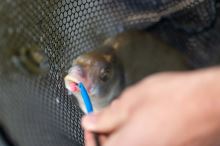 Preston Innovations Jehla Floater Disgorger Baiting Needle (4)