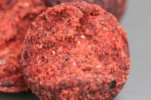 Starbaits Boilie RS1 (2)