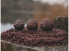 Chytil Boilies Pandemia 16 mm 100 g (3)