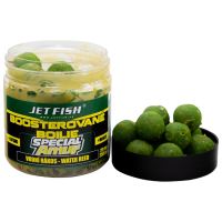 Jet Fish Boosterované Boilie Special Amur Vodní Rákos 120 g 20 mm Jet Fish Boosterované Boilie Special Amur Vodní Rákos 120 g 20 mm