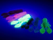 Fox Rage Gumová Nástraha Floating Creature Crayfish UV Golden Glitter (1)