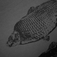 Kumu Mikina 3 Kings (3)