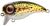 Spro Wobler Fat Iris 50 Brown Trout 5 cm 10 g