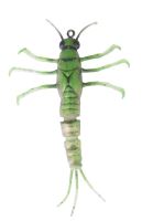 Savage Gear Gumová nástraha 3D TPE Mayfly Nymph Green - 5 cm 2,5 g
