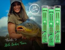 Zfish Návazec Crang Carp Rig 20 cm (5)