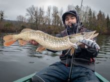 Fox Rage Gumová Nástraha Wobble Replicant Zebra UV (1)