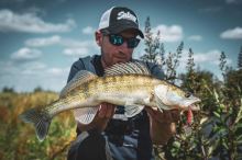 Salmo Wobler Rattlin Hornet Floating Hot Perch (5)