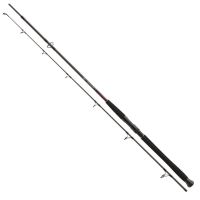 Daiwa Prut Exceler CF Spin 2,70 m -185 g