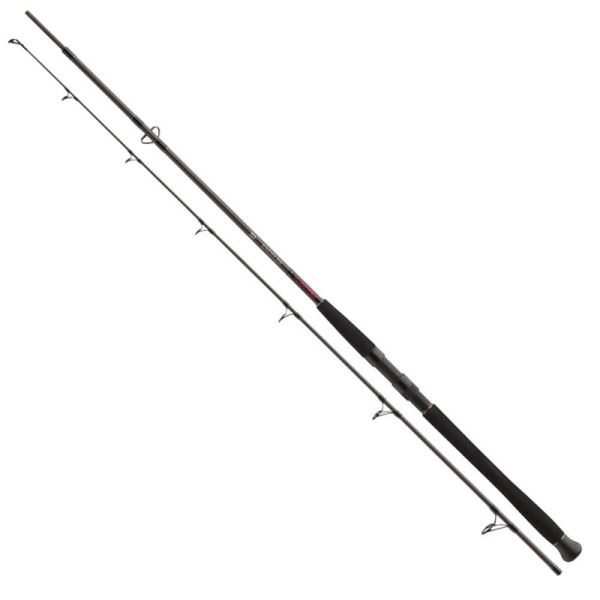 Daiwa Prut Exceler CF Spin 2,40 m -135 g