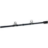 Daiwa Prut Tanacom Ultra Deep 2,1 m 400-1000 g (3)