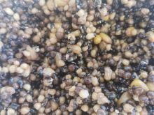 Vitalbaits Partikl Prepared Particles Mix Bucket 3 kg (1)