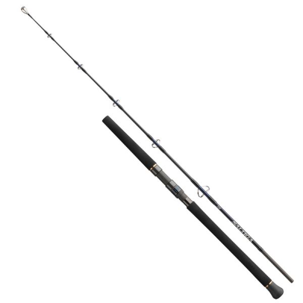 Daiwa Prut Saltiga Jigging 1,7 m 150-300 g