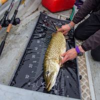 Wychwood Podložka Na Dravce Agitator Compact Roll Mat (1)