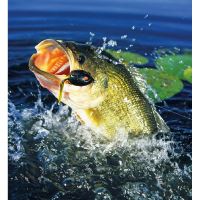 PGCZ Nástěnný Rybářský Kalendář 2026 32x45 cm (11)