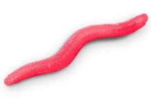 Delphin Umělá Nástraha B! StinxWORM 4 cm 50 ks - Fire / Cheese