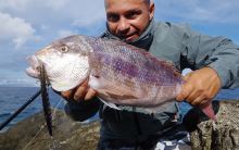 Savage Gear Wobler Deep Walker 2.0 Fast Sinking Sayoris PHP 17,5 cm 50 g (2)