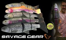 Savage Gear Gumová Nástraha Pstruh 4D Line Trhu Trout MS Seatrout (1)