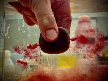 LK Baits Nutrigo Predator (1)