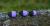 Redbass Mandula Black/Purple