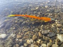 Black Cat Gumová Nástraha Cat Pelagic Red Head 27 cm 60 g (7)